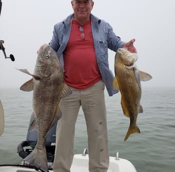 Black Drum fishing in Tiki Island, Texas