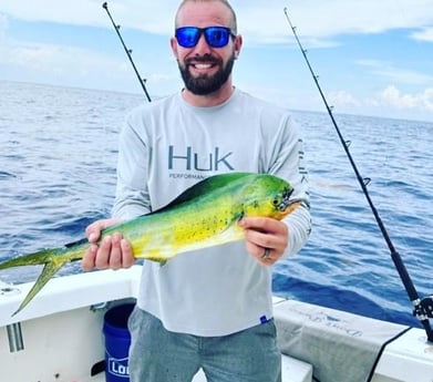 Mahi Mahi Fishing in Pompano Beach, Florida
