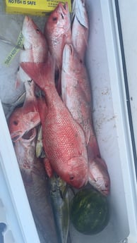 Fishing in Buras, Louisiana
