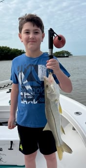 Snook Fishing in Chokoloskee, Florida