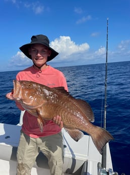 Fishing in Sarasota, Florida