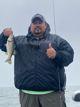 Largemouth Bass fishing in Zapata, Texas