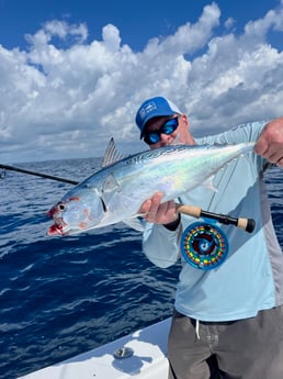 False Albacore Fishing in Jupiter, Florida