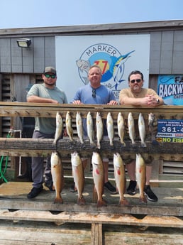 Fishing in Corpus Christi, Texas