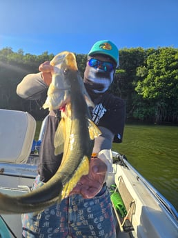 Fishing in Miami, Florida