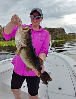 Largemouth Bass Fishing in St. Augustine, Florida