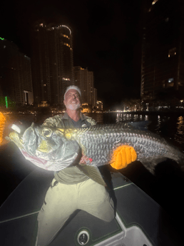 Fishing in Miami, Florida