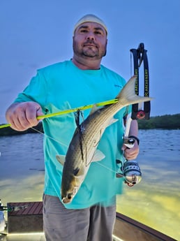 Fishing in Tampa, Florida