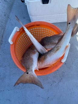 Fishing in Port Aransas, Texas