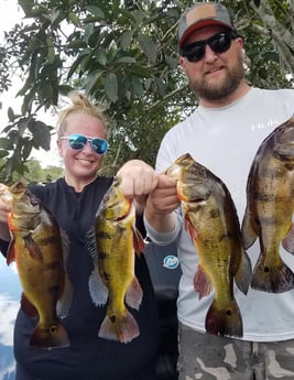 Peacock Bass fishing in Fort Lauderdale, Florida