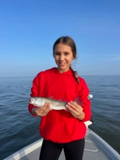 Speckled Trout Fishing in Boothville-Venice, Louisiana