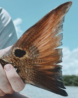 Fishing in Winter Springs, Florida