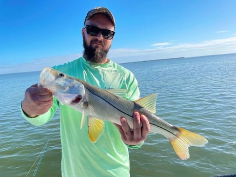 Snook Fishing in Tavernier, Florida