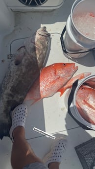 Fishing in Holmes Beach, Florida