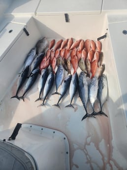 Fishing in Pensacola, Florida