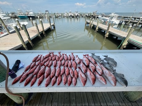Fishing in Foley, Alabama