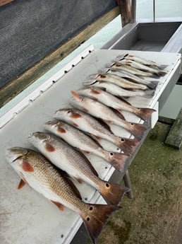 Fishing in South Padre Island, Texas