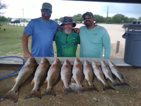 Redfish Fishing in San Antonio, Texas