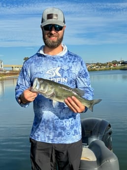 Fishing in Alba, Texas