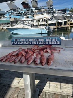 Fishing in Shalimar, Florida