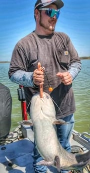 Blue Catfish Fishing in Dallas, Texas