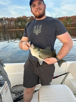 Fishing in Denver, North Carolina
