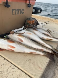 Fishing in Port Isabel, Texas