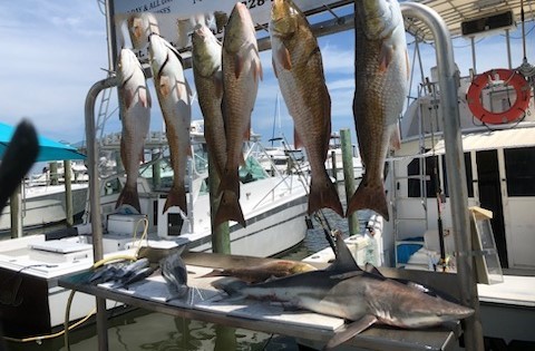 Fishing in Biloxi, Mississippi