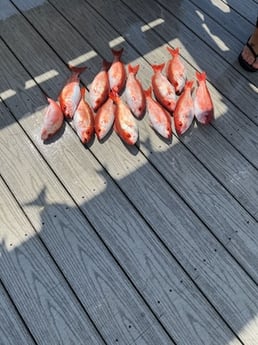 Fishing in Destin, Florida