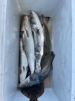 Flounder, Speckled Trout Fishing in Bolivar Peninsula, Texas