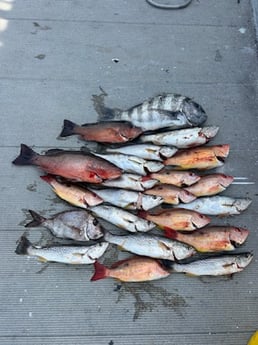 Fishing in Port Orange, Florida
