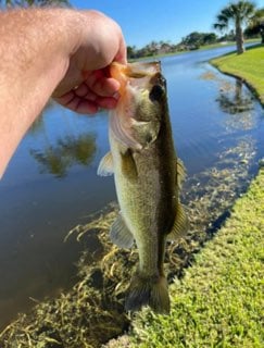 Fishing in Zanesville, Ohio