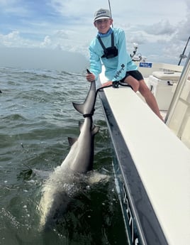 Fishing in St. Petersburg, Florida
