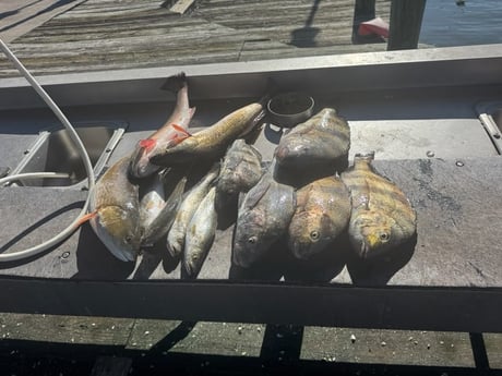 Fishing in Lake Charles, Louisiana