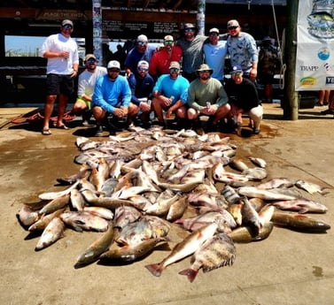 Redfish, Sheepshead Fishing in Boothville-Venice, Louisiana, USA