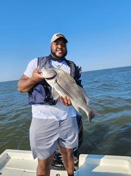 Black Drum Fishing in New Orleans, Louisiana