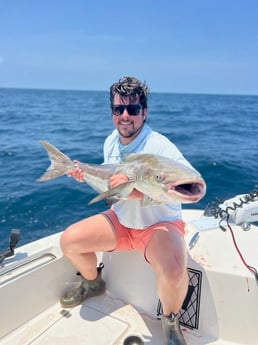 Cobia Fishing in Mount Pleasant, South Carolina