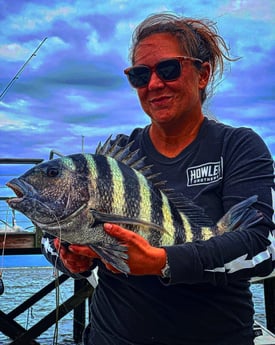 Sheepshead fishing in Johns Island, South Carolina