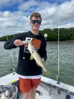 Fishing in Bay Pines, Florida