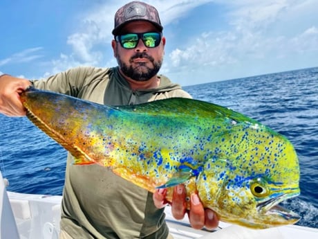 Mahi Mahi Fishing in Tavernier, Florida