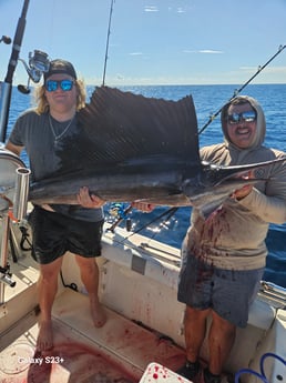 Sailfish Fishing in Fort Lauderdale, Florida
