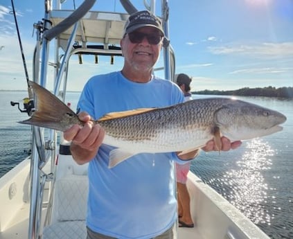 Redfish Fishing in Holmes Beach, Florida