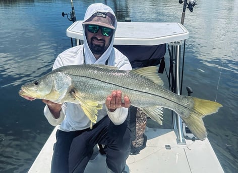 Fishing in Seminole, Florida
