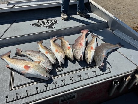 Fishing in Ingleside, Texas