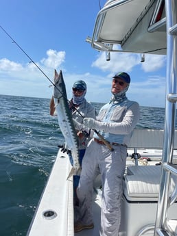 Barracuda fishing in Naples, Florida
