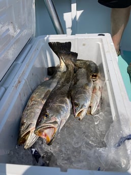 Fishing in Wanchese, North Carolina