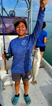 Fishing in South Padre Island, Texas