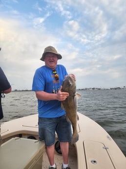 Black Drum fishing in Tiki Island, Texas