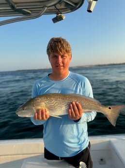 Fishing in Panama City Beach, Florida
