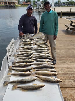 Sheepshead, Speckled Trout Fishing in New Orleans, Louisiana